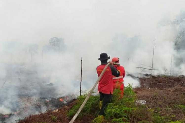 Sejak Januari, sudah 16 Hektar Lahan di Riau Terbakar