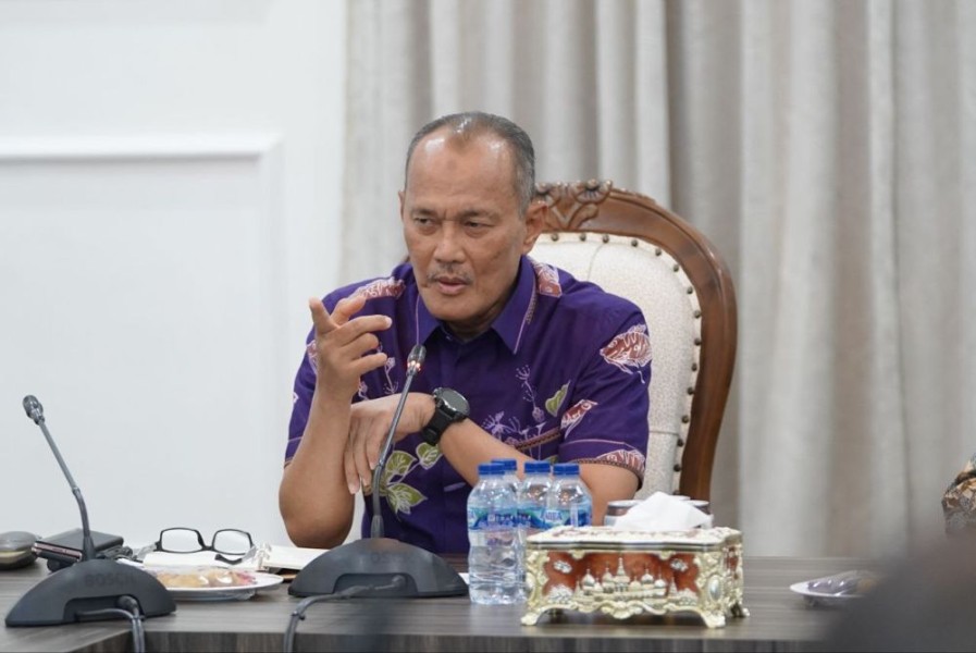 Pemprov Riau Siap Gandeng Investor Asing untuk Percepat Pembangunan Riau