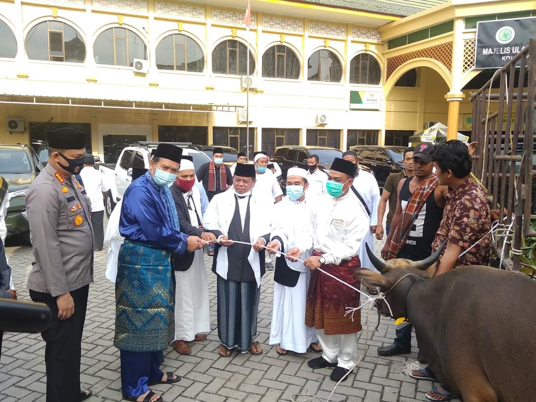 Meski Pandemi Covid-19, Pemko Pekanbaru Berqurban 44 Ekor Sapi