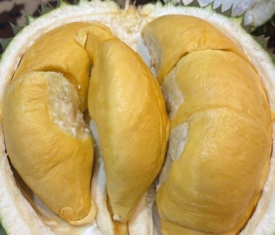 Makan Durian Ternyata Mampu Mencegah 4 Penyakit Berbahaya