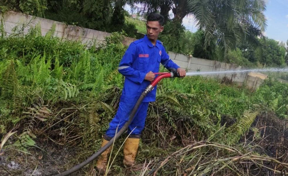 BPBD Sudah Padamkan 10 Hektare Lebih Lahan Terbakar di Pekanbaru