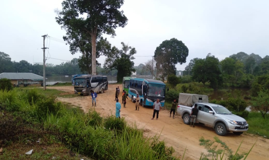 Mendadak 6 Bus Pengangkut Karyawan PT GSI di Langgam Distop Pemuda