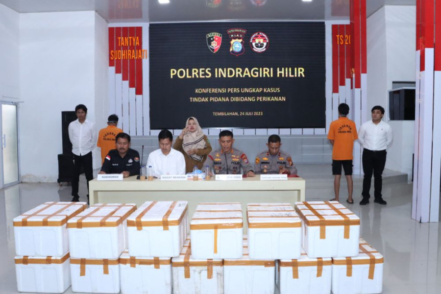 Polisi Gagalkan Penyelundupan 70.800 Benih Lobster di Inhil Riau