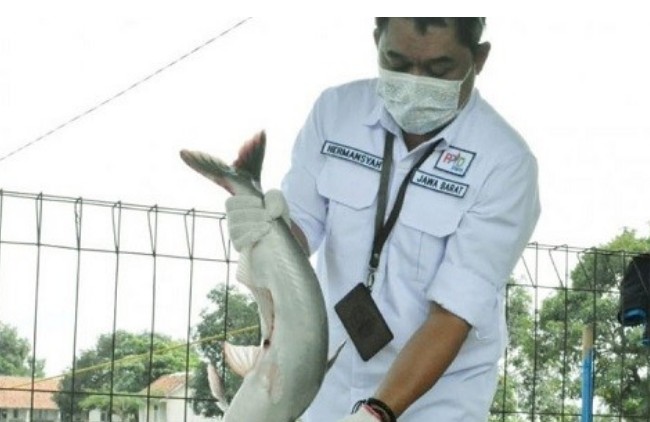 DKP Provinsi Jabar Bina 60 Petani Ikan dan Udang