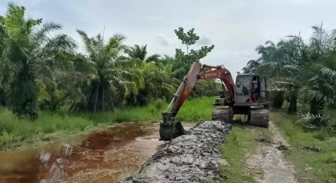 Tiga Pimpinan DPRD Rohil dan 2 Jenderal Diduga Kuasai Pokir Pengadaan Langsung