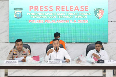 Anjing Disiksa Sebelum Dijagal, Dagingnya Dijual di Pelalawan