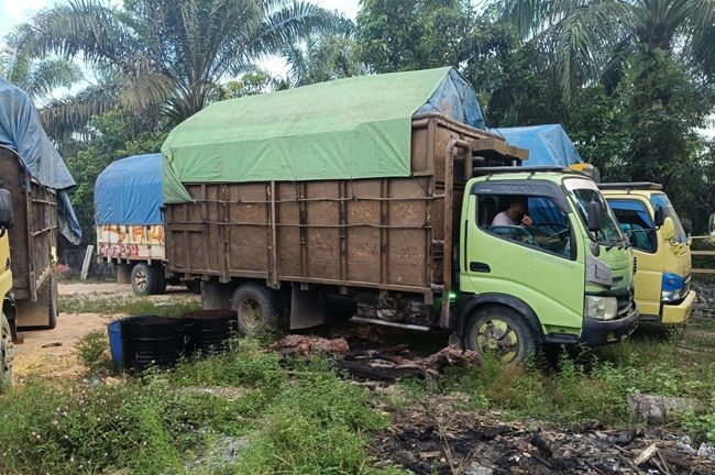 4 Truk Bermuatan Kayu Ilegal Ditangkap Polisi di Kampar