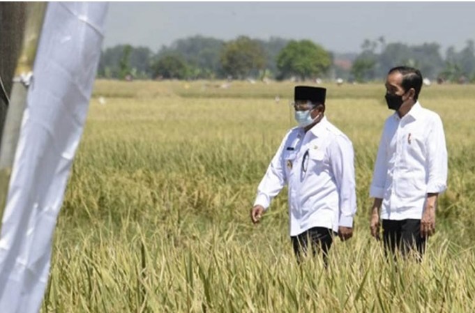 Wagub Harapkan Petani Indramayu Pertahankan Produktivitas