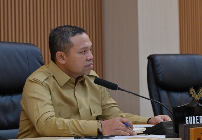 Pemprov Riau Terbuka untuk Investasi, Tapi Lindungi Alam