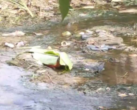 Breaking News! Mayat Bayi Kembali Ditemukan di Pekanbaru