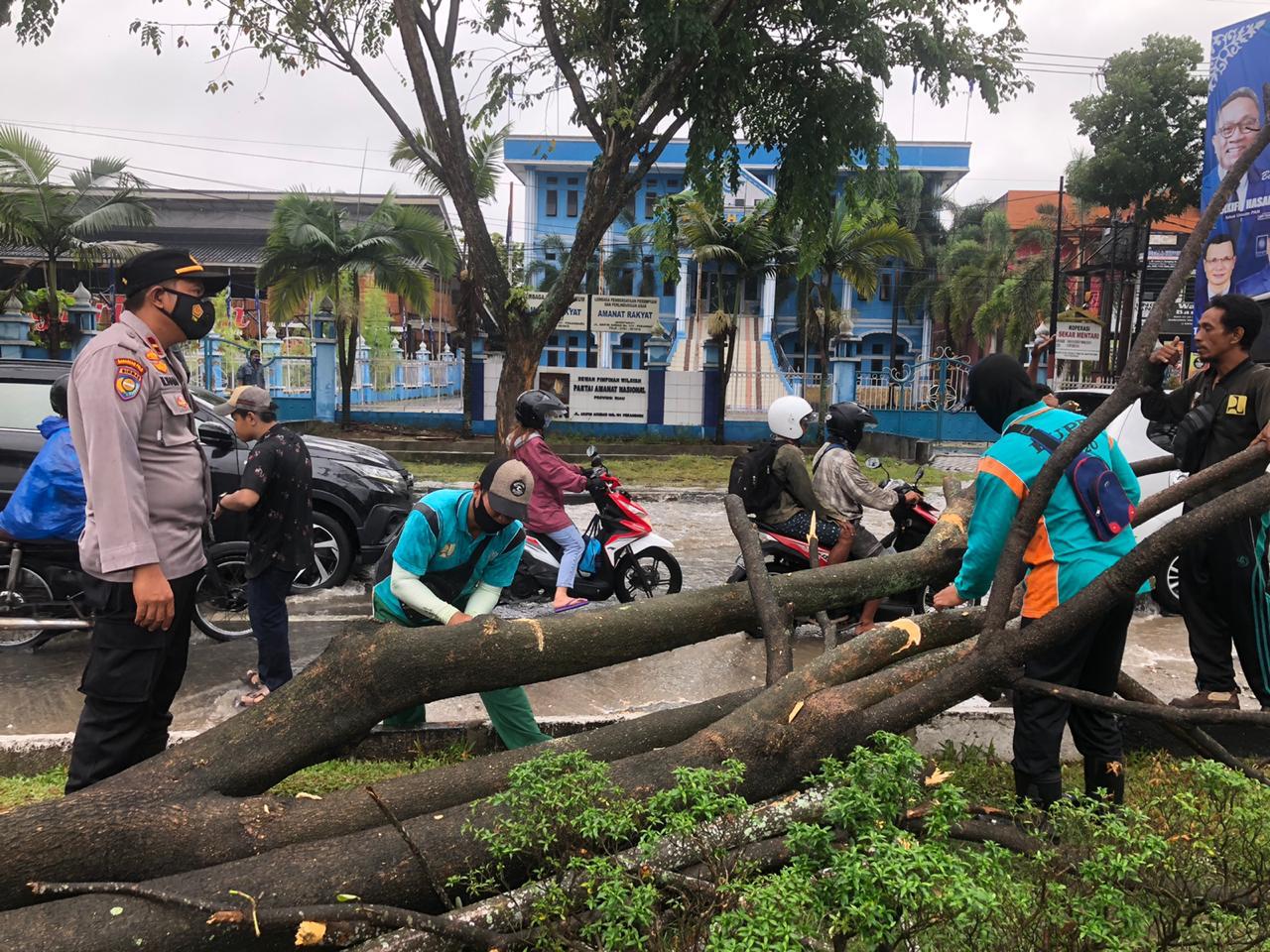 Hujan Deras Mengguyur, Kota Pekanbaru Banjir dan Pohon Tumbang di Jalan  Arifin Ahmad.
