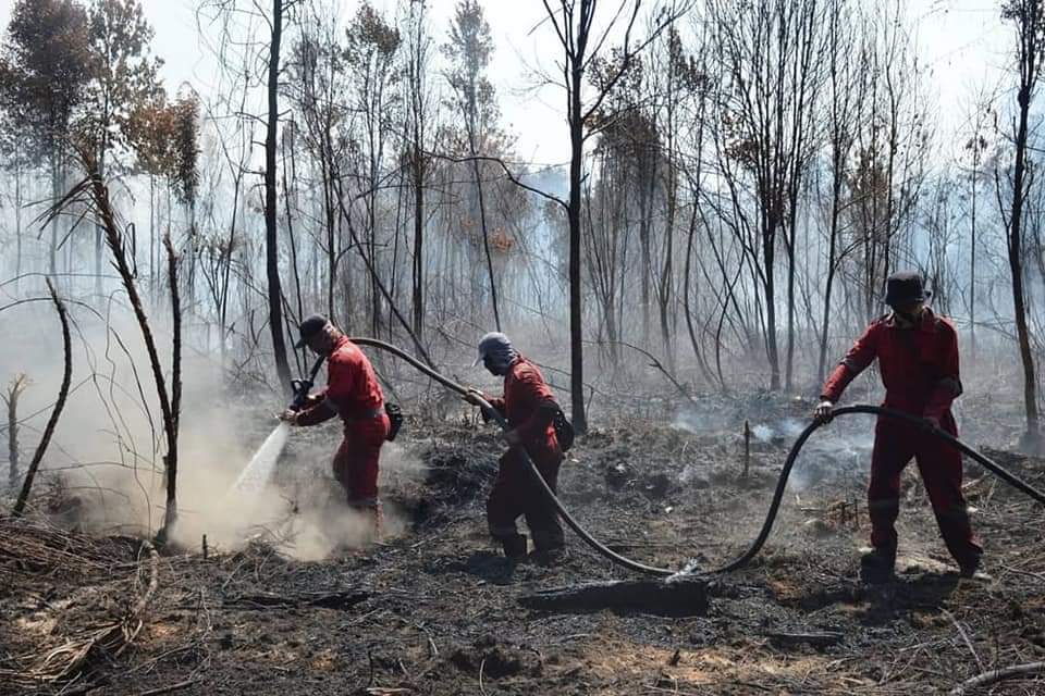 Karhutla di Giam Siak Kecil, Pemadaman Lewat Jalur Darat dan Udara