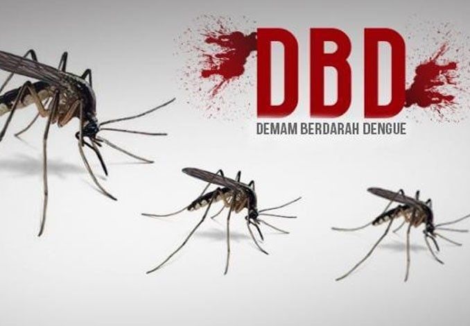 Pasutri di Pekanbaru Positif DBD, Diskes Mengaku Belum Terima Laporan