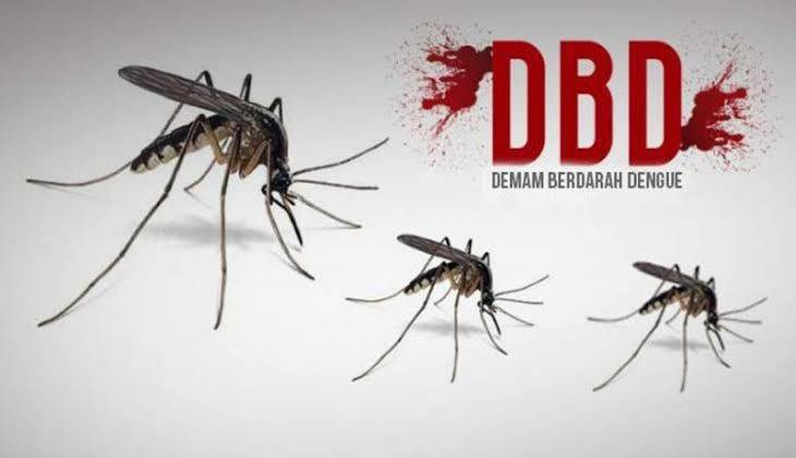 Kasus DBD di Pekanbaru Tembus 392, Payung Sekaki Tertinggi