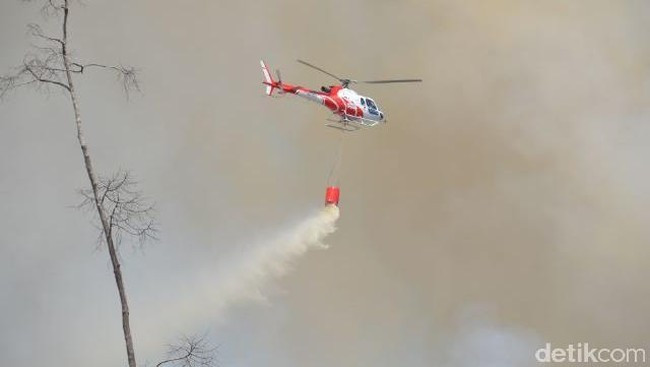 Antisipasi Karhutla, Riau Dapat Bantuan 4 Helikopter dari BNPB