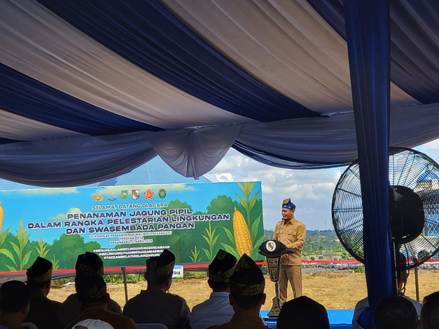 Pemko Pekanbaru Tanam 15 Ribu Jagung Pipil dan Pohon