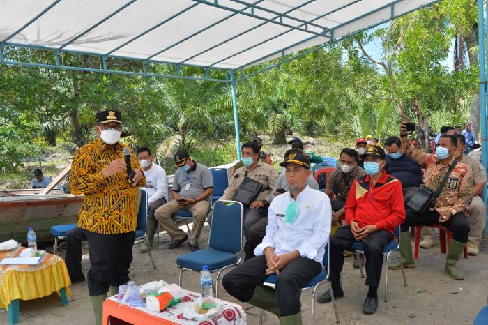 Edy Natar Nasution Ajak Masyarakat Riau Jaga Program PEN Mangrove