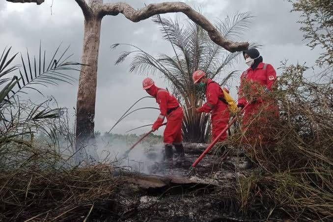 Sepanjang 2024, 2.486,75 Ha Lahan Terbakar