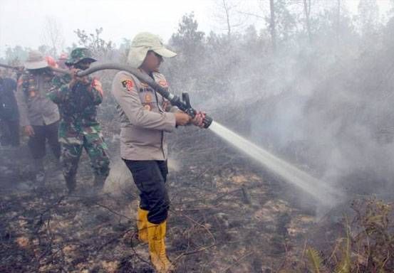 Sepanjang Tahun 2024, 1.653 Hektare Lahan di Riau Terbakar