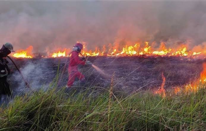 Karhutla Melanda Tujuh Daerah di Riau