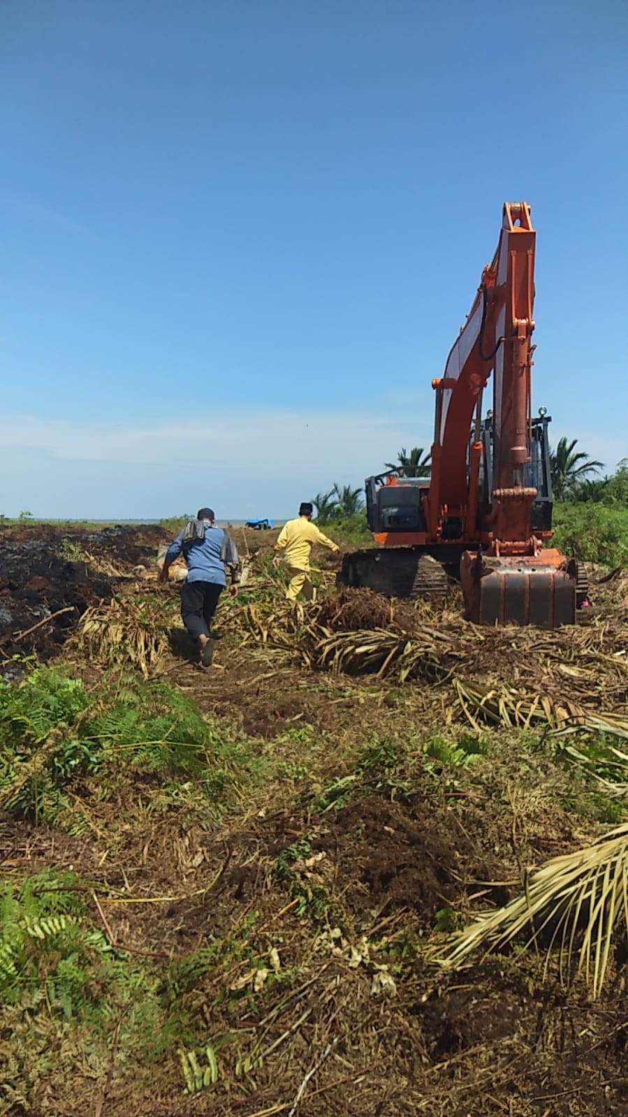 Merusak Ekosistem Gambut Di Kuala Kampar, Pakar Lingkungan Dr Elviriadi Sebut HGU PT TUM Cacat Hukum