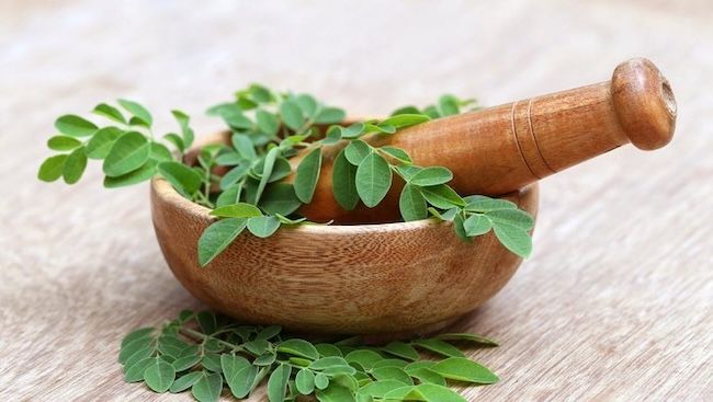 Ini Lima Manfaat Daun Kelor untuk Kesehatan