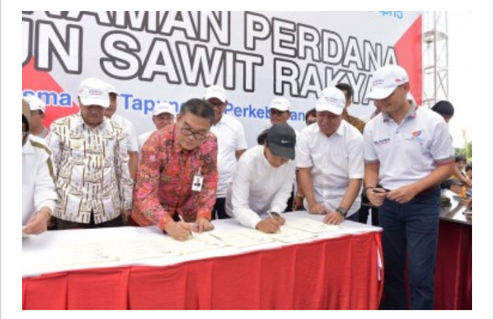 Program Replanting Sawit, Bank Riau Kepri MoU dengan Menteri BUMN
