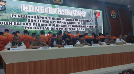 Bakar 68 Hektare Lahan, Polda Riau Tetapkan 22 Tersangka Karhutla