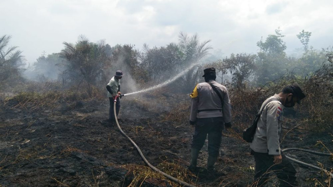 Karhutla Mulai Terpantau di 3 Daerah di Riau, Petugas Cepat Beraksi Padamkan Api