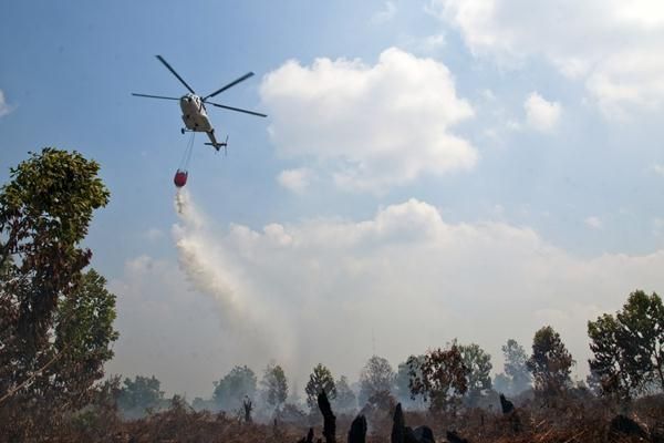 Atasi Karhutla, DPRD Riau Minta Semua Pihak Berperan Aktif