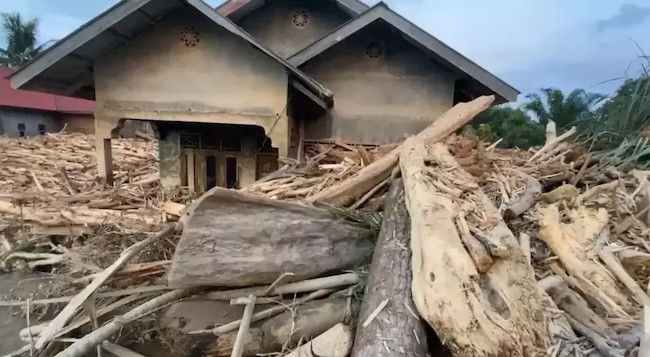 Penampakan Kayu Gelondongan Timbun Rumah Warga Aceh Utara