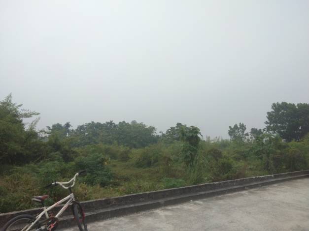 Jarak Pandang di Pekanbaru hanya 500 Meter, BMKG: Uap Air Campur Asap