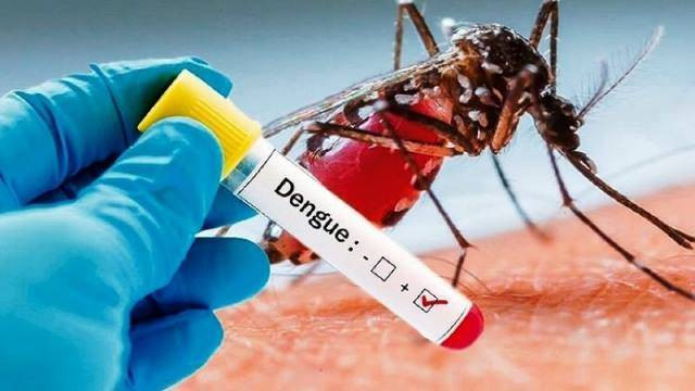 Waspada! 1.471 Warga Riau Terjangkit DBD dalam 4 Bulan Terakhir