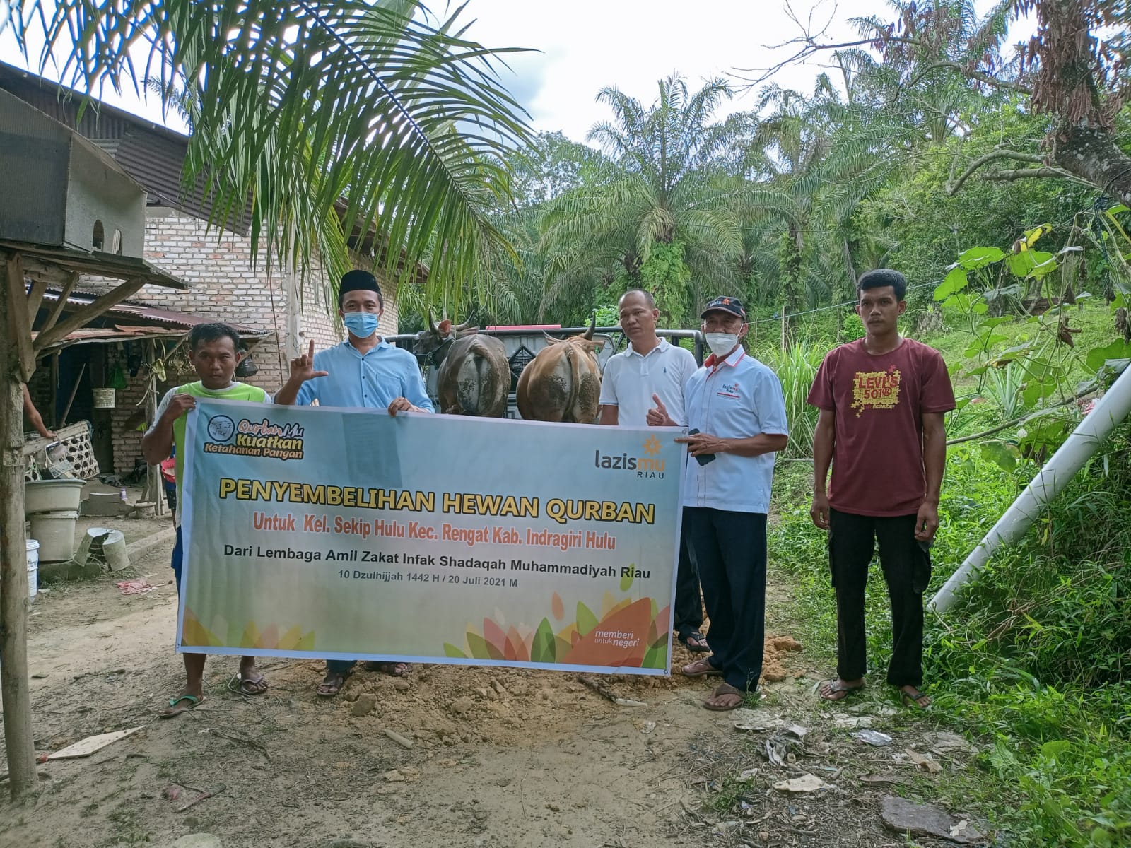 Distribusikan ke Daerah, LazisMu Riau Salurkan Lima Belas Ekor Sapi Kurban