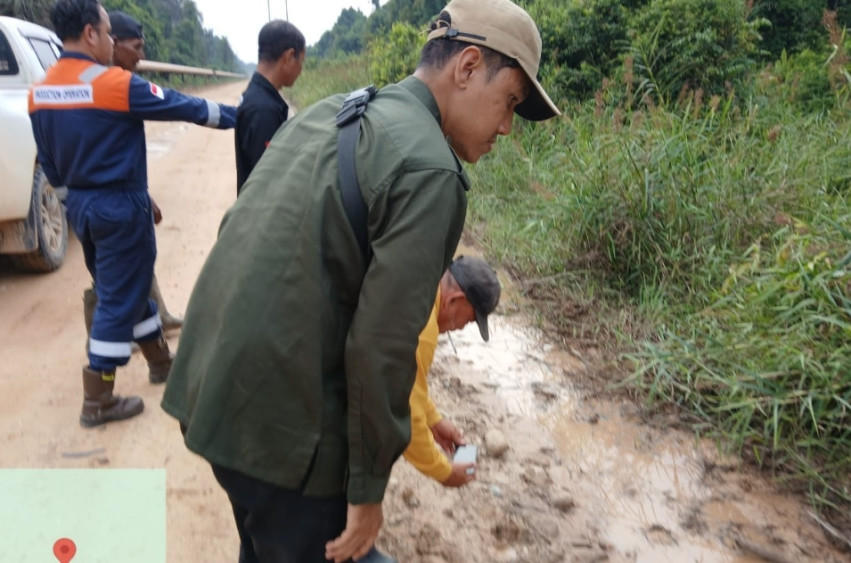 Harimau Muncul di Jalan Perusahaan, BBKSDA Tegaskan Masuk Kawasan TN Zamrud