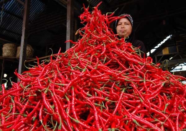 Harga Bahan Pokok di Pekanbaru Cenderung Stabil