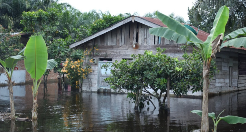 Banjir Mulai Rendam Sejumlah Kampung di Siak