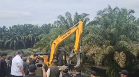 Bantah TNTN Dikelola Agrinas, Satgas PKH: Kalau Komersial, Kenapa Ditumbang